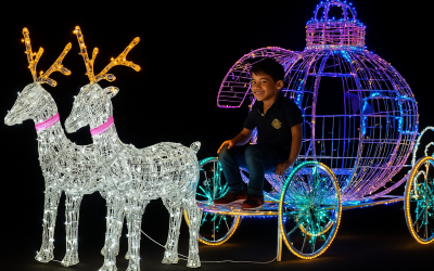 Un mundo de magia: La Navidad a través de los ojos de un niño